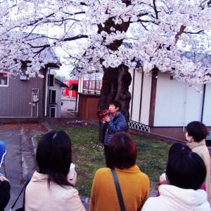 副社長から奇跡の桜の逸話が語られます。